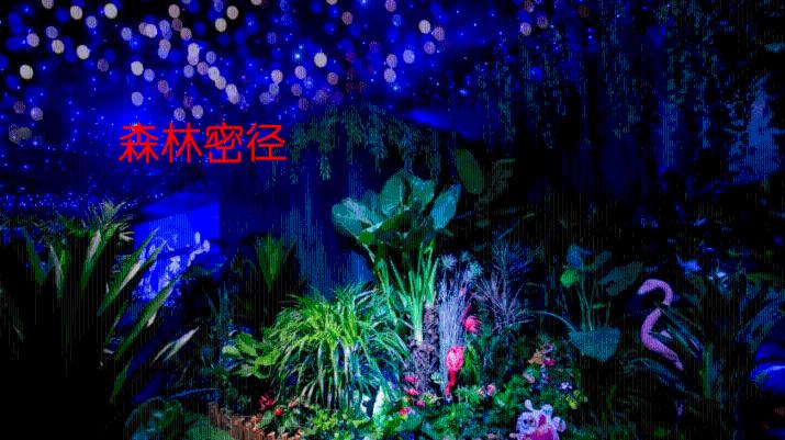 昨天汤姆在公园听见一只鹦鹉在唱歌用英语怎么说?-机智问答网页